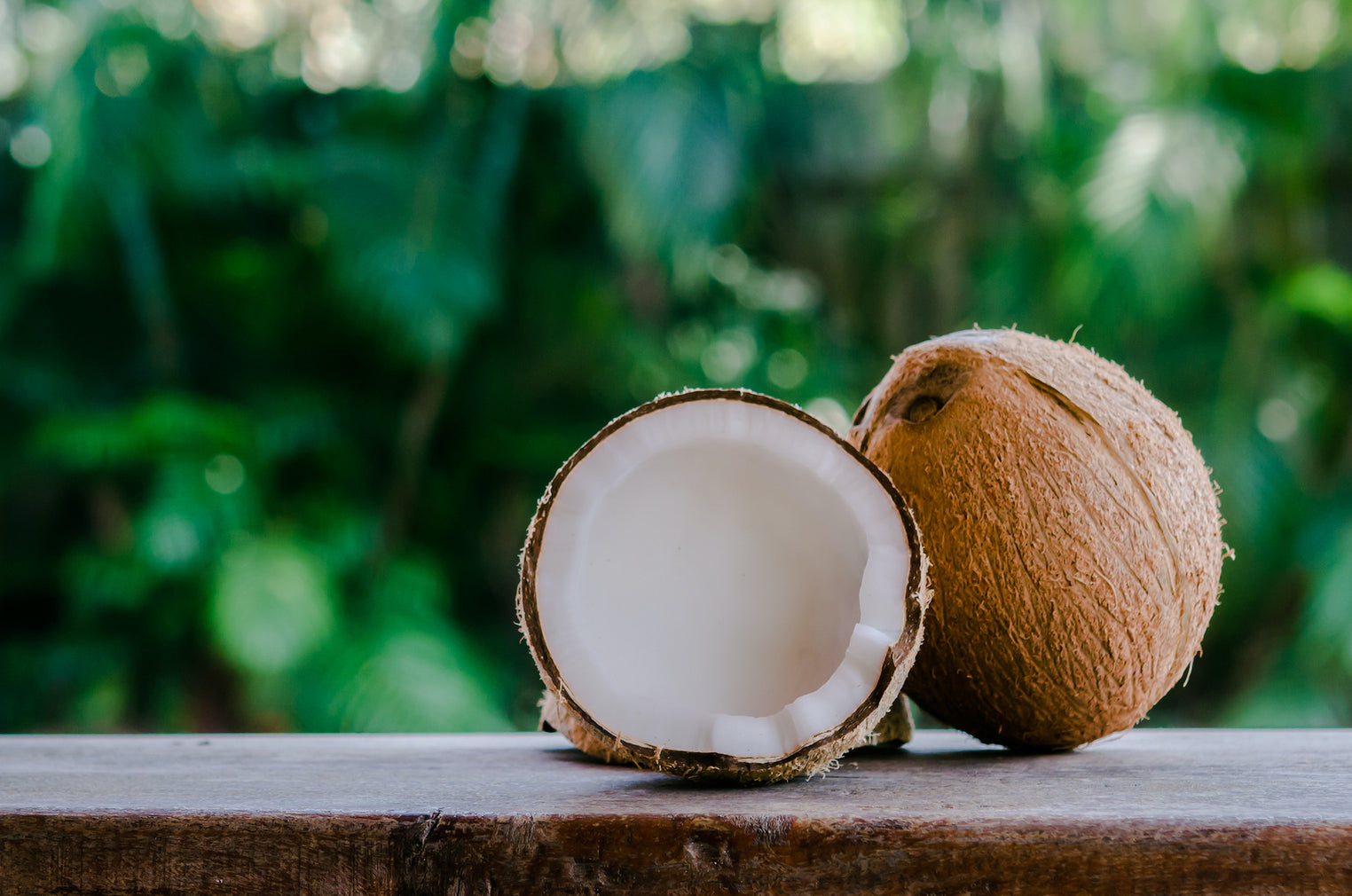 Two coconuts are sitting on a wood beam with a tropical green leafy background behind them.